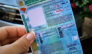 CNH Social Amazonas: Detran-AM abre 10&hellip;