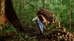 Senado aprova seguro-desemprego: R$ 1.621 para&hellip;